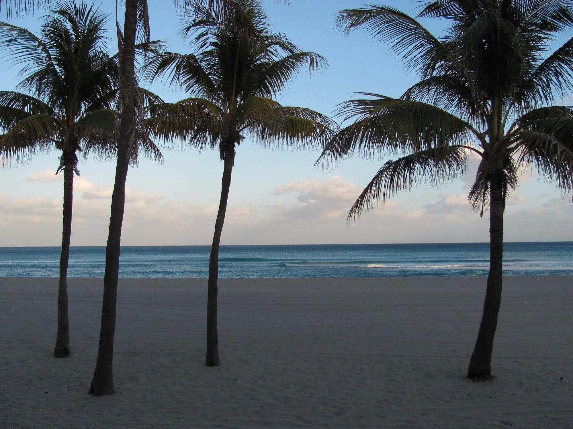 Enchanted Isle Hollywood Beach Resort Kültér fotó